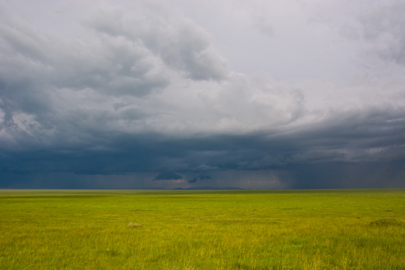 Storm Clouds Above The Serengeti